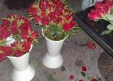 今日更新玫瑰花怎么包装（玫瑰花的包法大全图解 ）