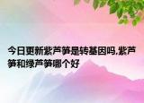今日更新紫芦笋是转基因吗,紫芦笋和绿芦笋哪个好