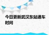 今日更新武汉东站通车时间