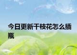 今日更新干枝花怎么插瓶
