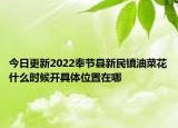 今日更新2022奉节县新民镇油菜花什么时候开具体位置在哪
