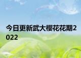 今日更新武大樱花花期2022