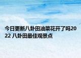 今日更新八卦田油菜花开了吗2022 八卦田最佳观景点