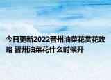 今日更新2022晋州油菜花赏花攻略 晋州油菜花什么时候开