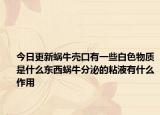今日更新蜗牛壳口有一些白色物质是什么东西蜗牛分泌的粘液有什么作用