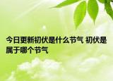 今日更新初伏是什么节气 初伏是属于哪个节气