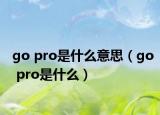 go pro是什么意思（go pro是什么）