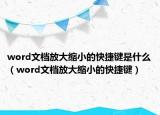 word文档放大缩小的快捷键是什么（word文档放大缩小的快捷键）