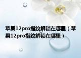 苹果12pro指纹解锁在哪里（苹果12pro指纹解锁在哪里）