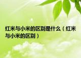 红米与小米的区别是什么（红米与小米的区别）