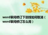 word审阅修订下划线如何取消（word审阅修订怎么用）
