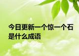 今日更新一个惊一个石是什么成语