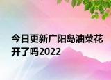 今日更新广阳岛油菜花开了吗2022