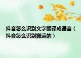 抖音怎么识别文字翻译成语音（抖音怎么识别搬运的）