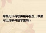 苹果可以传软件给平板么（苹果可以传软件给苹果吗）