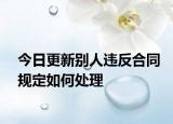 今日更新别人违反合同规定如何处理