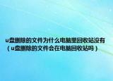 u盘删除的文件为什么电脑里回收站没有（u盘删除的文件会在电脑回收站吗）