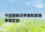 今日更新丑苹果和普通苹果区别