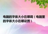 电脑的字体大小在哪调（电脑里的字体大小在哪设置）