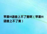 苹果tt语音上不了麦啊（苹果tt语音上不了麦）