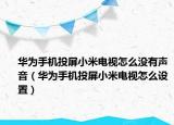 华为手机投屏小米电视怎么没有声音（华为手机投屏小米电视怎么设置）