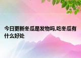 今日更新冬瓜是发物吗,吃冬瓜有什么好处