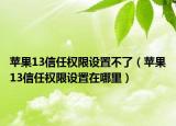 苹果13信任权限设置不了（苹果13信任权限设置在哪里）