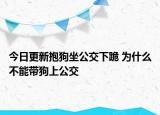 今日更新抱狗坐公交下跪 为什么不能带狗上公交