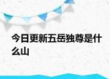 今日更新五岳独尊是什么山