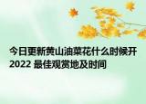 今日更新黄山油菜花什么时候开2022 最佳观赏地及时间
