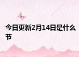 今日更新2月14日是什么节
