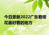 今日更新2022广东看樱花最好看的地方