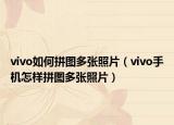 vivo如何拼图多张照片（vivo手机怎样拼图多张照片）