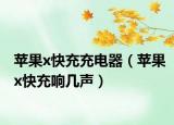 苹果x快充充电器（苹果x快充响几声）