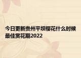 今日更新贵州平坝樱花什么时候最佳赏花期2022