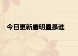 今日更新唐明皇是谁