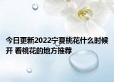 今日更新2022宁夏桃花什么时候开 看桃花的地方推荐
