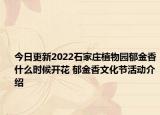 今日更新2022石家庄植物园郁金香什么时候开花 郁金香文化节活动介绍