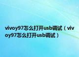 vivoy97怎么打开usb调试（vivoy97怎么打开usb调试）