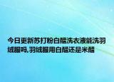 今日更新苏打粉白醋洗衣液能洗羽绒服吗,羽绒服用白醋还是米醋