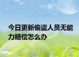 今日更新偷盗人员无能力赔偿怎么办