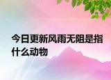 今日更新风雨无阻是指什么动物