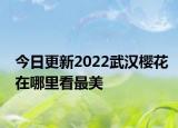 今日更新2022武汉樱花在哪里看最美
