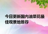 今日更新国内油菜花最佳观景地推荐