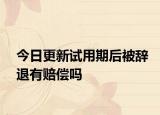 今日更新试用期后被辞退有赔偿吗