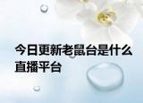 今日更新老鼠台是什么直播平台