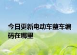 今日更新电动车整车编码在哪里