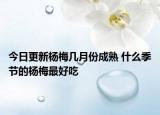 今日更新杨梅几月份成熟 什么季节的杨梅最好吃