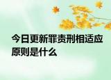 今日更新罪责刑相适应原则是什么