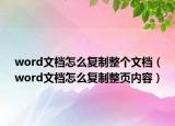 word文档怎么复制整个文档（word文档怎么复制整页内容）